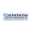 birikim